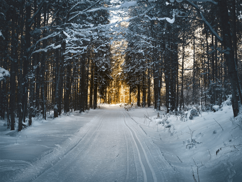 Activities to Enjoy Before the Snow Arrives
