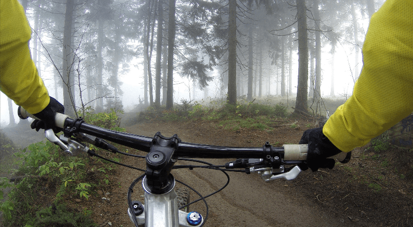 Big Bear Spots, Off the Beaten Path, that Only Locals Know About