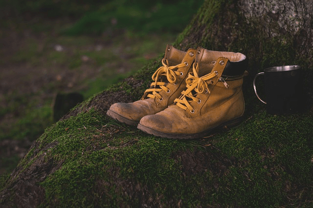 Top Big Bear Hiking Trails to Check Out on Your Next Vacation