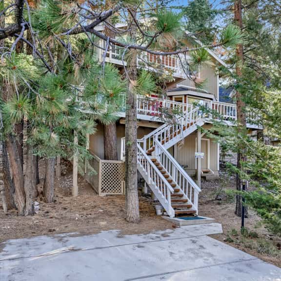 2060-Tree Top Views - Image 1