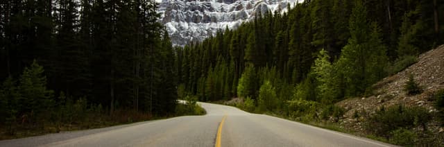 Winding mountain road through forest toward snowy peaks