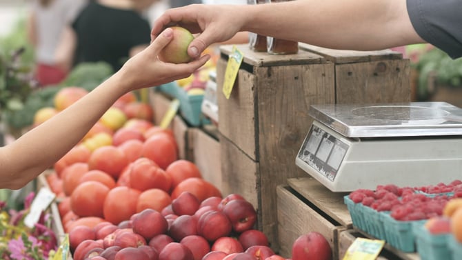 Valley Farmer’s Market