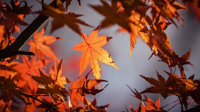 Getting Ready for Fall