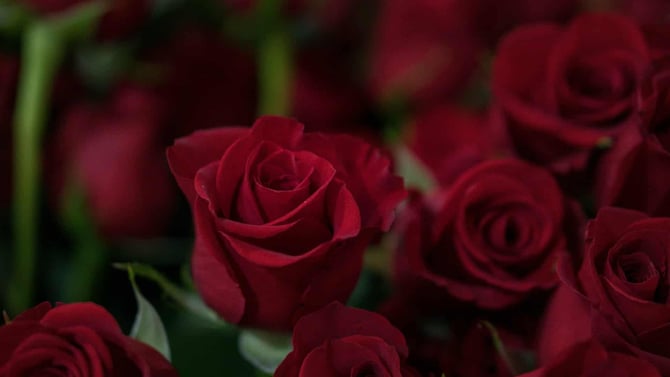 Make Valentine’s Day 2024 Special in Big Bear
