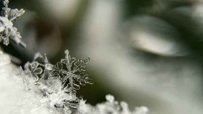 Get a Head-Start on MLK Vacation Planning at Big Bear
