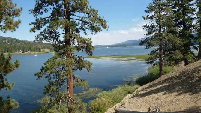 Swimming in Big Bear Lake