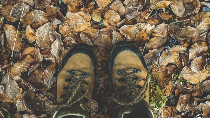Hiking Trails