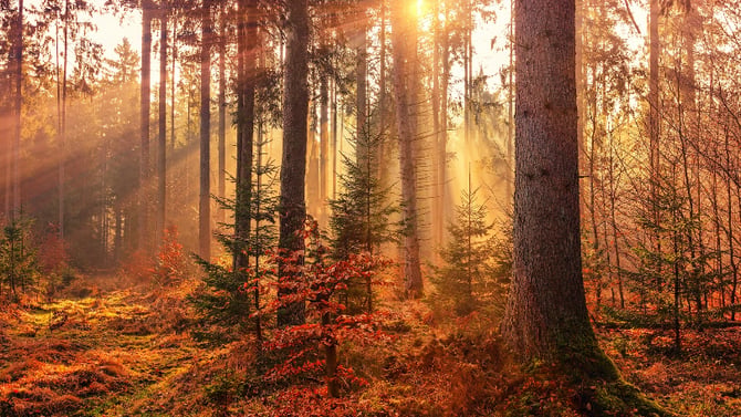 Budget-Friendly Fall Activities in Big Bear