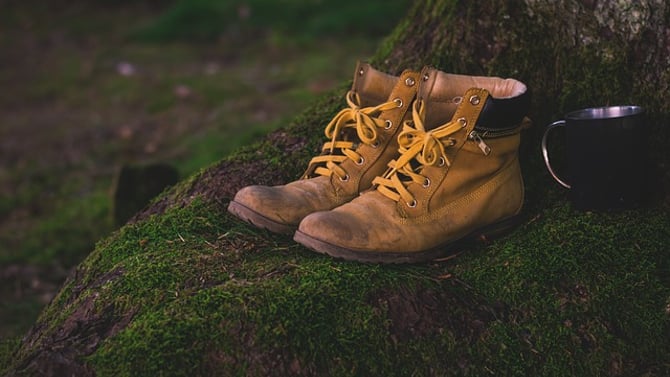 Top Big Bear Hiking Trails to Check Out on Your Next Vacation