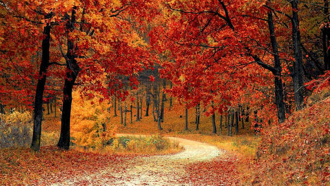 Big Bear Fall Activities