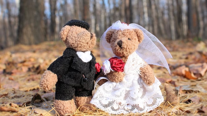 Big Bear Weddings