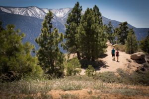 Pine Knot Trail Hiking