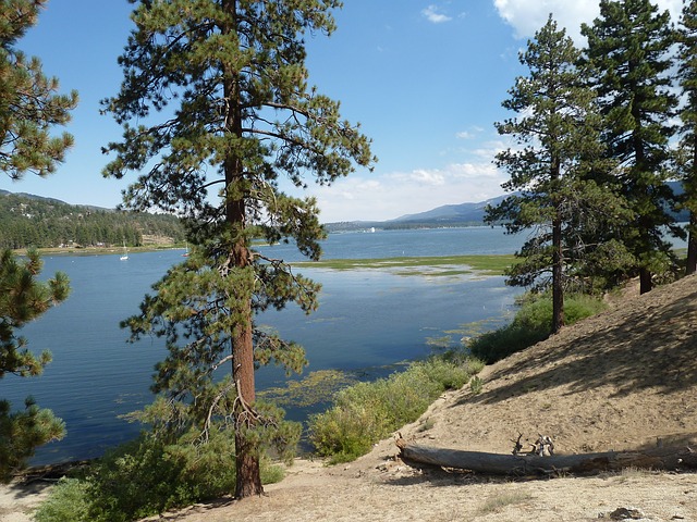 Big Bear Hiking Trails | Top Trails In The Area | Big Bear Cabins