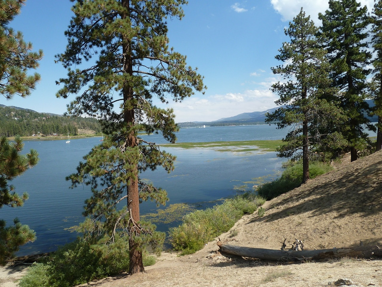 Can You Swim In Big Bear Lake Now All You Need To Know About Big Bear Lake Swimming Big Bear Cabins