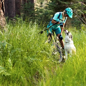 Dog and man on a mountain bike in Big Bear CA