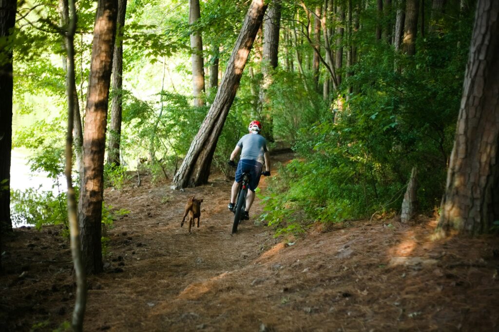 Discover Big Bear biking trails