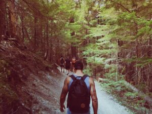 A hiker on a hiking trail